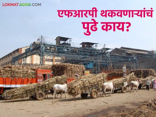 Sugarcane price control meeting held; What was discussed about FRP and other sugarcane issues? Read in detail | ऊसदर नियंत्रण बैठक झाली; एफआरपी व इतर ऊस प्रश्नांविषयी काय चर्चा? वाचा सविस्तर