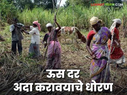 Latest News Sugarcane FRP Important decision regarding payment of sugarcane rates by sugar factories, read in detail | Sugarcane FRP : साखर कारखान्यांनी ऊस दर अदा करण्याबाबत महत्वाचा निर्णय, वाचा सविस्तर 
