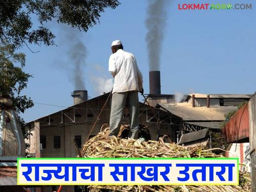 This district ranks first in the state in sugarcane crushing and sugar extraction this year; Read in detail | यंदा ऊस गाळप व साखर उताऱ्यात हा जिल्हा राज्यात नंबर एकवर; वाचा सविस्तर