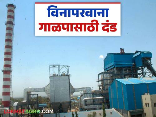 Action to these factories that are crushing without a license; Sugar Commissioner issues notices | विनापरवाना गाळप करणाऱ्या या कारखान्यांना दणका; साखर आयुक्तांनी बजावल्या नोटीसा