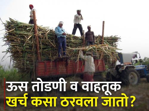 Sugar Commissioner has done sugarcane cutting, transport rates fixed | साखर आयुक्तांनी केले ऊस तोडणी, वाहतुकीचे दर निश्चित