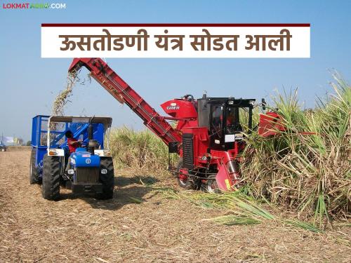 Latest news Mahadbt lottery List lottery list of sugarcane harvesters released on mahadbt portal see districtwise list | Mahadbt Lottery List : ऊस तोडणी यंत्राची लॉटरी यादी आली, अशी पहा संपूर्ण जिल्ह्यांनुसार लिस्ट 
