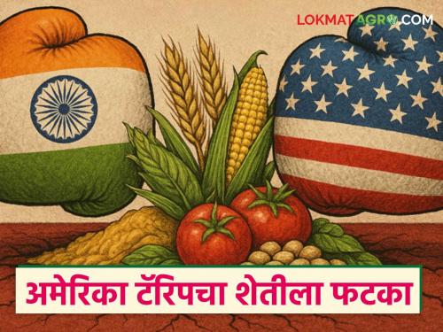 How will it affect our agricultural sector if American agricultural products come to India? | अमेरिकेची कृषी उत्पादने भारतात आल्यास त्याचा आपल्या शेती क्षेत्रावर कसा परिणाम होणार?