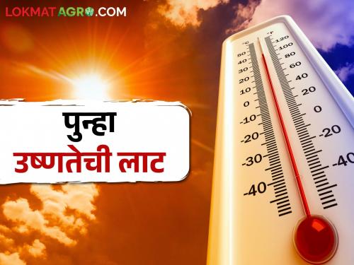 Maharashtra Weather Update Where will there be heat wave in the state and where there will be rain with stormy winds | Maharashtra Weather Update राज्यात कुठे राहणार उष्णतेची लाट अन् कुठे वादळी वाऱ्यासह पाऊस