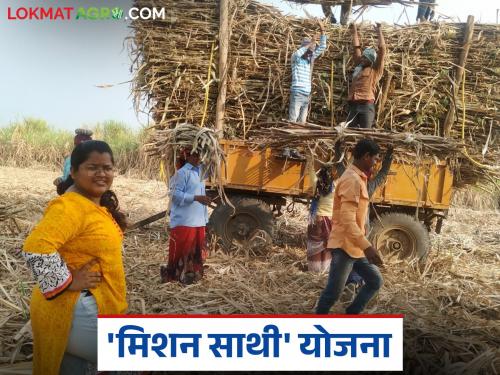 latest news Ustod Mahila Kamgar: Government wakes up for the health of sugarcane workers; Read the big decision of 'Mission Saathi' scheme in detail | Ustod Mahila Kamgar : ऊसतोड मजुरांच्या आरोग्यासाठी सरकार जागे; 'मिशन साथी' योजनेचा मोठा निर्णय वाचा सविस्तर