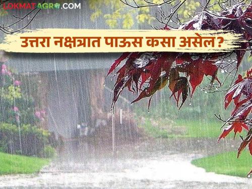 Latest News Rain Update how will rain in Uttara Nakshatra in September  Know in detail  | Rain Update : उत्तरा नक्षत्रात पावसाचे प्रमाण कसे असेल?  जाणून घ्या सविस्तर 