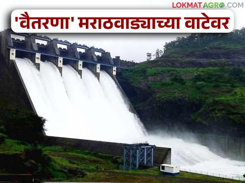 latest news Jayakwadi Dam Water: Vaitarna support for Jayakwadi; 16.50 TMC of water will be available next year Read in detail | Jayakwadi Dam Water: जायकवाडीसाठी वैतरणेचा आधार; पुढील वर्षी मिळणार १६.५० टीएमसी पाणी वाचा सविस्तर