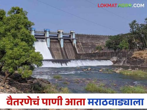 19.90 TMC water from Vaitarna River will now be diverted to Marathwada | वैतरणा नदीतील १९.९० टीएमसी पाणी आता मराठवाड्याकडे वळविणार