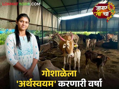 Varsha's Desi Cow Goshala: Read an inspiring success story of a varsha who making a Cowshala self-sustaining through an organic project | Varsha's Desi Cow Goshala : सेंद्रिय प्रकल्पातून गोशाळेला स्वयंअर्थपूर्ण करणाऱ्या वर्षाची वाचा प्रेरणादायी यशकथा