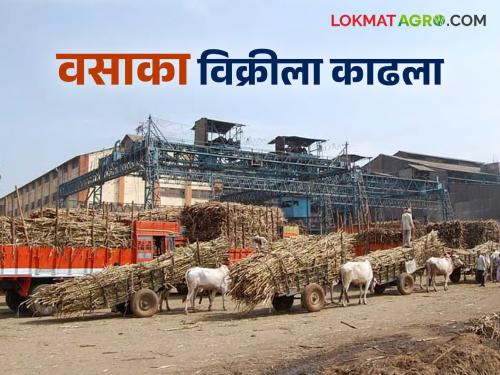 Latest News Vasaka sugar factory in Nashik district put up for sale, tender process begins | नाशिक जिल्ह्यातील 'हा' साखर कारखाना विक्रीला काढला, विक्रीसाठीची निविदाप्रक्रिया सुरू