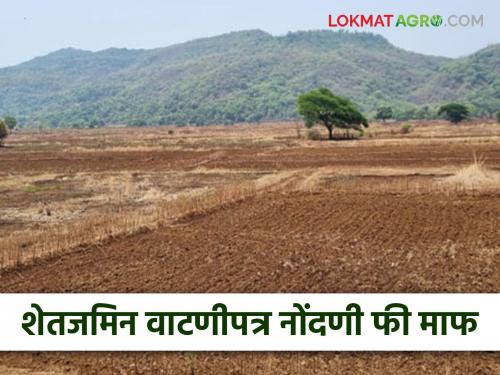 Fee for registration of agricultural land allotment deed waived; What is the decision? Read in detail | शेतजमिन वाटणीपत्राच्या दस्त नोंदणीस लागणारी फी माफ; काय आहे निर्णय? वाचा सविस्तर