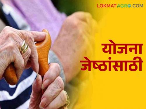 Along with the ladaki bahin yojana, this scheme has now come to the senior citizens | लाडकी बहिण योजनेबरोबरच आता वृद्धांना आली हि योजना