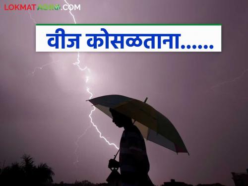 Farmers Safety: When struck by lightning... one wrong step can cost your life! Read in detail | Farmers Safety: वीज कोसळताना... एक चुकीचे पाऊल, जीवावर बेतू शकतो! वाचा सविस्तर