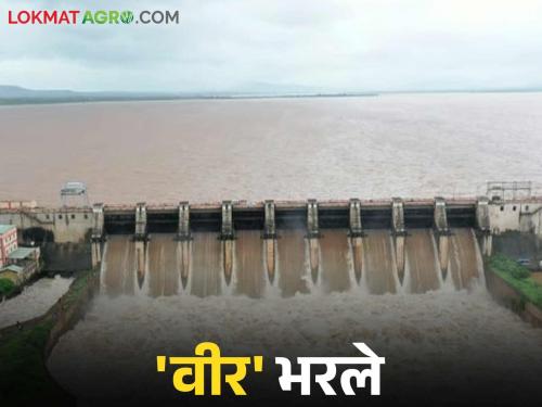 Veer Dam Overflow : Veer Dam 100 percent full; 15 thousand cusecs released into Nira river | Veer Dam Overflow : वीर धरण १०० टक्के भरले; नीरा नदीत १५ हजार क्युसेकने विसर्ग