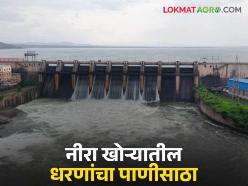 Significant increase in water storage of Bhatghar, Veer, Neera Deoghar and Gunjawani dams in Neera valley; Know in detail | भाटघर, वीर, नीरा देवघर व गुंजवणी धरणांच्या पाणीसाठ्यात मोठी वाढ; जाणून घ्या सविस्तर