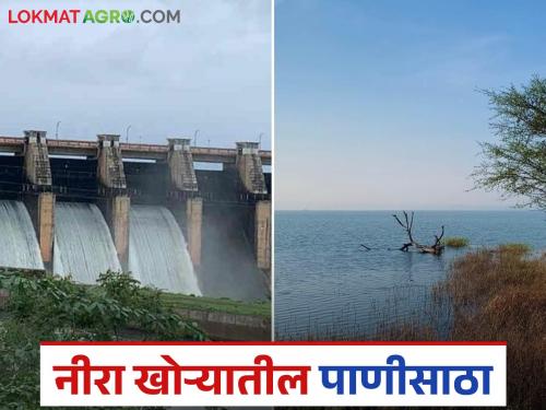Veer Dam discharge stopped; How much water is in Bhatghar, Veer, Nira Deoghar and Gunjavani dams? | वीर धरणातील विसर्ग थांबवला; भाटघर, वीर, निरा देवघर अन् गुंजवणी धरणात किती पाणी?
