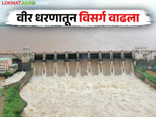 Heavy rains in Nira valley increase discharge from 'Veer' dam; Alert issued along Nira river | नीरा खोऱ्यात मुसळधार पाऊस 'वीर' धरणातून विसर्ग वाढवला; नीरा नदीकाठी सतर्कतेचा इशारा