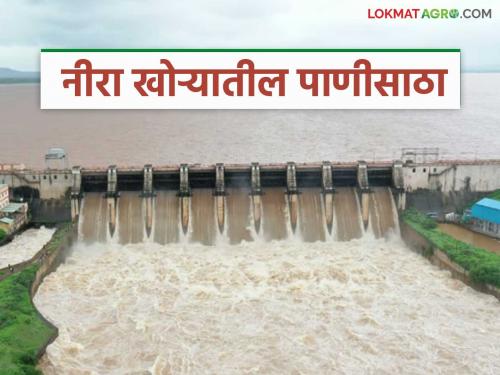 Large inflow of water in all four dams in Nira Valley; Veer Dam will overflow soon | नीरा खोऱ्यातील चारही धरणांत पाण्याची मोठी आवक; वीर धरण लवकरच ओव्हरफ्लो