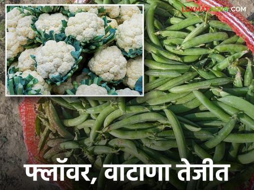 Due to Pitru Pandharavada, the vegetable market will remain buoyant for the next 10 days; 'These' vegetables are getting the highest prices | पितृपंधरावड्यामुळे पुढील १० दिवस भाजीपाला बाजार राहणार तेजीत; 'या' भाज्यांना मिळतोय सर्वाधिक भाव