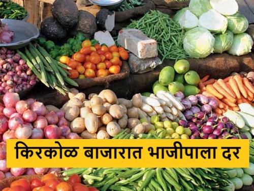 latest news Know price of vegetables in retail market in maharashtra | मेथी, कोथिंबीर जुडी कितीला दिली? जाणून घ्या किरकोळ बाजारात भाजीपाला दर