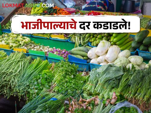 Latest News Low inflow and high demand, increase in price of leafy vegetables | Vegetable Rate : अवकाळीचा फटका, आवक घटली, मागणी वाढली, वाचा भाजीपाला दर 