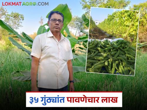 This farmer grew 26 types of crops in 35 gunthas; earned an income of Rs. 4.5 lakh in six months | ३५ गुंठ्यांत 'या' शेतकऱ्याने घेतली तब्बल २६ प्रकारची पिकं; सहा महिन्यात पावणेचार लाखांचे उत्पन्न