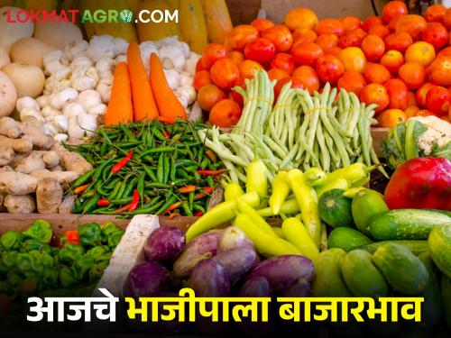 Latest News Todays red chilly and other Vegetables Market Price in maharashtra bajar samiti | गवार खातेय भाव, लाल अन् हिरव्या मिरचीचं काय? जाणून घ्या आजचे भाजीपाला दर 