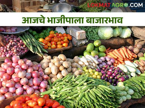 Latest News Todays Vegetables Market Price in maharashtra bajar samiti | भाजीपाला पिकाला काय बाजारभाव मिळतोय? आजचे भाजीपाला जाणून घ्या? 