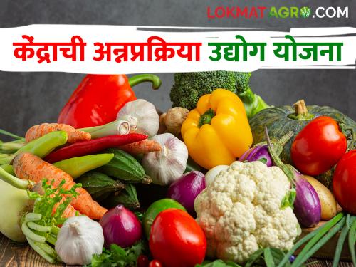 Government Schemes Want to start micro food processing industry, applied? | Government Schemes सूक्ष्म अन्नप्रक्रिया उद्योग सुरू करायचाय, अर्ज केला का?