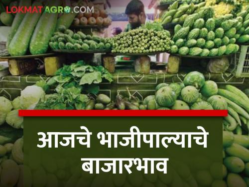 Today's vegetable market price in Pune Market Committee, know in detail | पुणे बाजार समितीतील आजचे भाजीपाला बाजारभाव, जाणून घ्या सविस्तर 