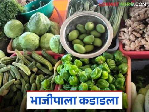 latest news Vegetable Market: Vegetables are scarce in the market, where is the relief for farmers? Read in detail | Vegetable Market : बाजारात भाजीपाला कडाडला, शेतकऱ्यांना दिलासा कुठे? वाचा सविस्तर