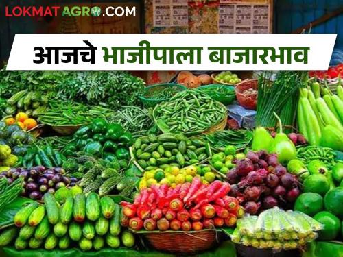 Latest News 27 Feb 2024 Todays Vegetable Market Rate In bajar samiti | कोथिंबीर-मेथीची सर्वाधिक आवक, बाजारभाव मात्र कवडीमोल, जाणून घ्या आजचे बाजारभाव ?