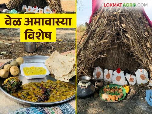 Vela Amavasya 2024 : How the word Vela Amavasya became popular and what is the tradition behind it? | Vela Amavasya 2024 : वेळ अमावास्या शब्द कसा रुढ झाला? काय आहे ह्यामागील परंपरा