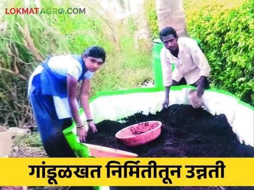 Vermicompost: Profit of at least 30 thousand rupees from vermicomposting business | Vermicompost गांडूळखत निर्मिती जोडव्यवसायातून किमान ३० हजार रुपयांचा नफा