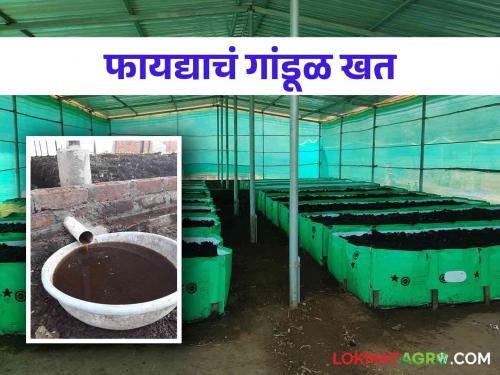 Get guaranteed income by producing this farm-based fertilizer | शेती आधारित या खताचे उत्पादन करून घ्या हमखास उत्पन्न