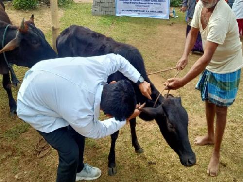 Letter to Govt regarding waiver of service charges levied in veterinary clinics in the state | राज्यातील पशुवैद्यकीय दवाखान्यामध्ये आकारण्यात येणारे सेवाशुल्क माफ करणेबाबत सरकारला पत्र