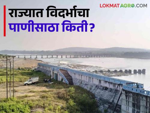 Latest News How much water has come in Gosekhurd, Katepurna, Khadakpurna dams in Vidarbha Read in detail | Vidarbha Dam Storage : विदर्भातील गोसेखुर्द, काटेपूर्णा, खडकपूर्णा धरणांत किती पाणी आलं? वाचा सविस्तर