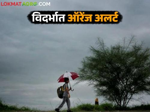 latest news Weather Update News: Thunderstorms in Vidarbha; 'Orange Alert' for five districts Read in detail | Weather Update News: विदर्भात वीजांचा गडगडाट; पाच जिल्ह्यांना 'ऑरेंज अलर्ट' वाचा सविस्तर