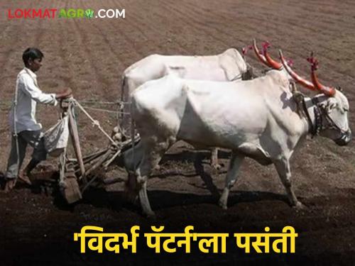 Rabi season 2024 : Farmers are benefiting Vidarbha initiative for low cost farming | Rabi Season 2024 : कमी खर्चात शेती करण्याचा विदर्भाचा उपक्रम ; शेतकऱ्यांना होतोय फायदा