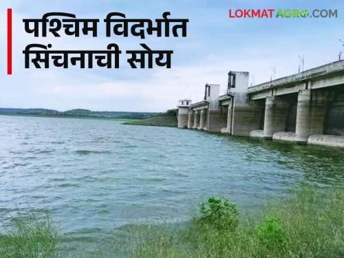 Rabi Crop Require Water : Dams in West Vidarbha filled; water supply is now available for Rabi  | Rabi Crop Require Water : पश्चिम विदर्भातील धरणे भरली; रब्बीसाठी आता मुबलक जलसाठा उपलब्ध 