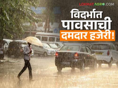 latest news Vidarbha Weather Update: Heavy rains in Vidarbha; More than average rainfall in Nagpur division! | Vidarbha Weather Update : विदर्भात पावसाची धुव्वाधार हजेरी; नागपूर विभागात सरासरीपेक्षा अधिक पाऊस!
