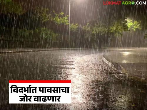 latest news Vidarbha Weather Update: Orange Alert! Heavy rain likely in many districts of Vidarbha | Vidarbha Weather Update: ऑरेंज अलर्ट! विदर्भातील अनेक जिल्ह्यांत जोरदार पावसाची शक्यता