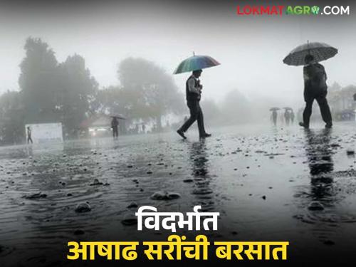 latest news Vidarbha Weather Update: Heavy rains in Vidarbha; Warning of heavy rains for the next two days Read in detail | Vidarbha Weather Update : विदर्भात आषाढसरींचा जोर; पुढील दोन दिवसही मुसळधारचा इशारा वाचा सविस्तर