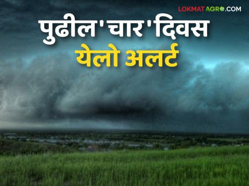 Weather forecast; It will rain everywhere in the 'Ya' district of Vidarbha for the next four days | हवामान खात्याचा अंदाज; विदर्भाच्या 'या' जिल्ह्यात पुढील चार दिवस सर्वत्र बरसणार पाऊस