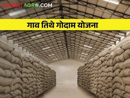 Latest News Now village godown plan to store grain of farmers | तुमचा शेत माल आता धान्य गोदामात साठवा, अशी आहे गाव तिथे गोदाम योजना