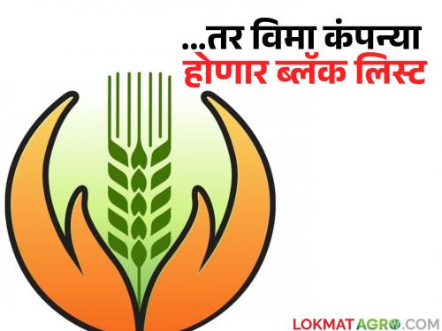 Big decision for crop insurance companies; If they cheat farmers, they will be permanently removed from the government list | पीक विमा कंपन्यांसाठी मोठा निर्णय; शेतकऱ्यांना फसविले तर शासन यादीतून कायमस्वरूपी वगळण्यात येणार