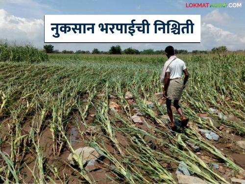 Latest News Pik Vima Yojana How will insurance compensation be determined in new crop scheme, know in detail | नव्या योजनेत विमा नुकसान भरपाई कशी निश्चित केली जाणार, जाणून घ्या सविस्तर 