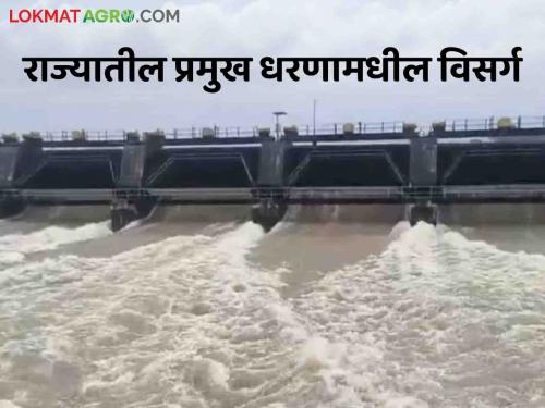 latest news Maharashtra Dam Water Discharged How much water has been released from maharashtra dam | Maharashtra Dam Water Discharged : राज्यातील कुठल्या धरणातून किती पाणी सोडलंय? वाचा एका क्लिकवर 