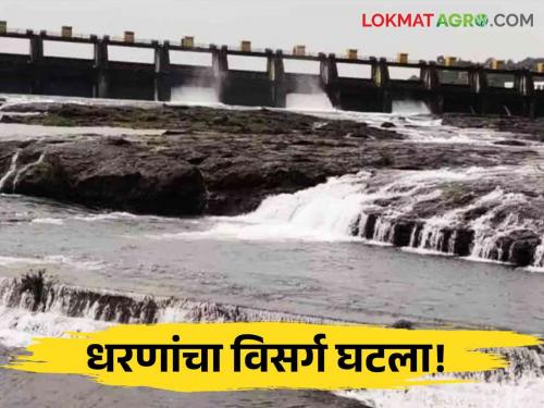 Latest News maharashtra dam water discharged Highest water discharge from Hatnur, Rajapur Dam, Gosekhurd | Dam Water Discharged : हतनूर, राजापूर बंधारा, गोसेखुर्दमधून सर्वाधिक विसर्ग, वाचा कुठे किती विसर्ग? 