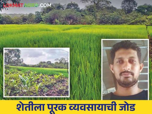 Farmer Success Story: Vishal found a way of financial income through agriculture and allied business | Farmer Success Story : विशालने शेती व पूरक व्यवसायातून शोधला आर्थिक उत्पन्नाचा मार्ग